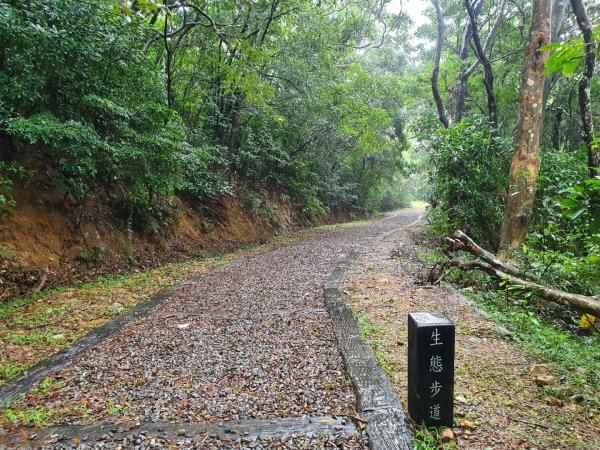 旭海草原步道1203589