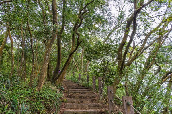 [新竹]飛鳳山2512104