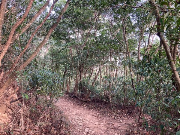 火炎山登山步道2386043