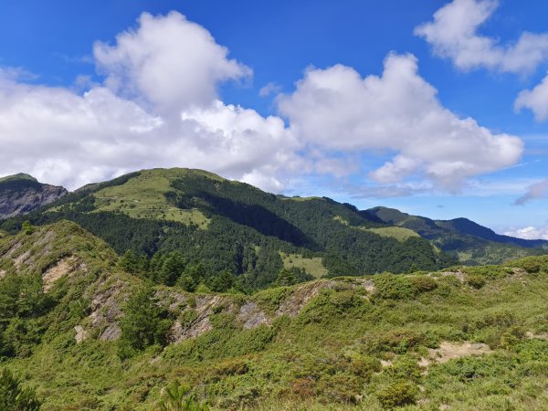 南投/花蓮-合歡北峰3053829