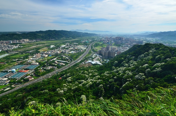 【路線】新北迎春趣 探訪步道奇景之美