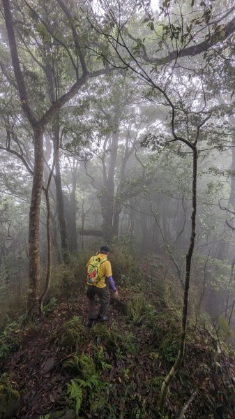 113.06.01魯壁山-東穗山之旅2529883