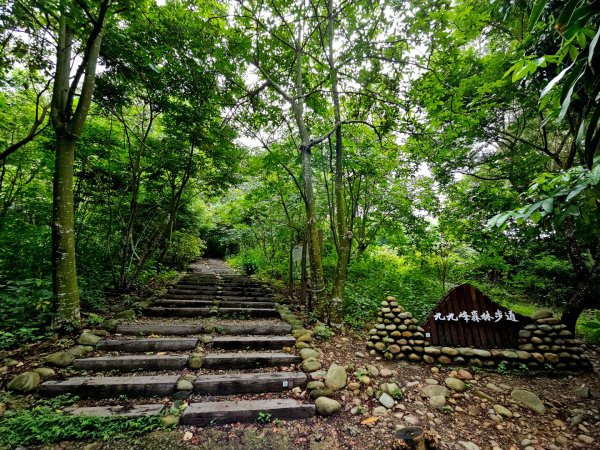 九九峰森林步道-(南投)臺灣百大必訪步道2805916