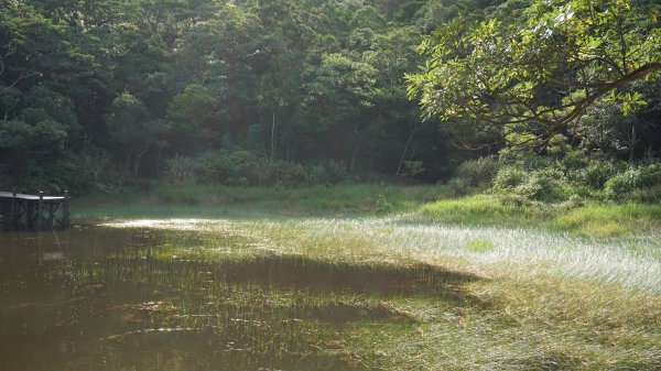 新山夢湖1072369