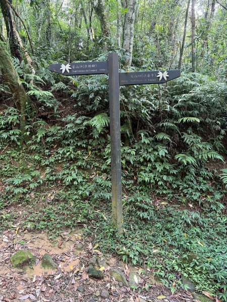 新北 雙溪 虎豹雙棲越野17K探路3068860