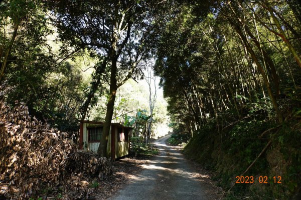 嘉義 竹崎 大坑山2032196