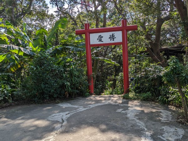 【小百岳009】台北 劍潭山1985391