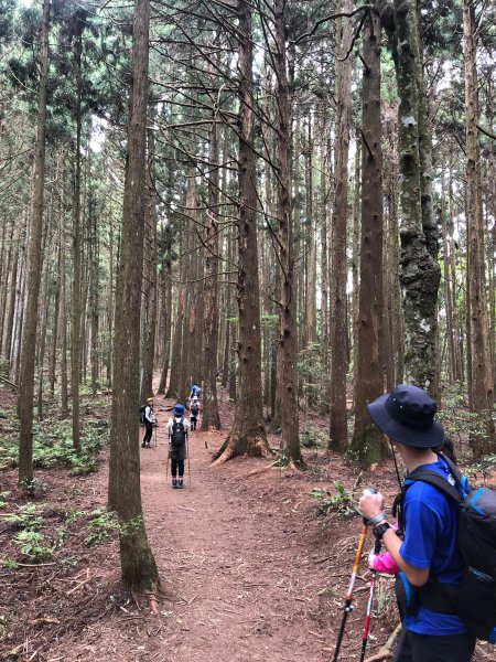 中級山-高島縱走2888444