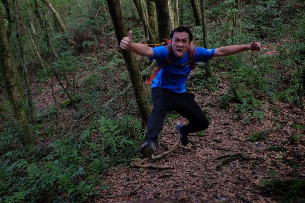 桃園復興區  東卡O縱2823816