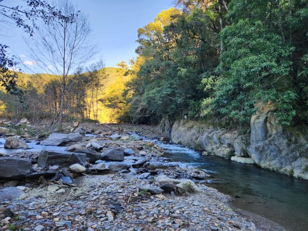 【中級山縱走】羅馬縱走，走進神木的夢幻童話森林世界2943262