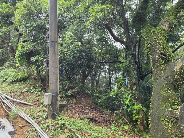 20260819九芎林山西北峰-主峰-土地公嶺3111500