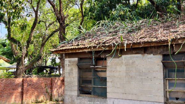 【台灣健行】霧峰．光復：日光滲透的紅磚記憶。3034097