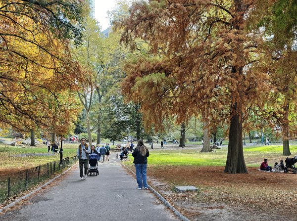 [紐約馬之行-10] 2025_1101 紐約中央公園