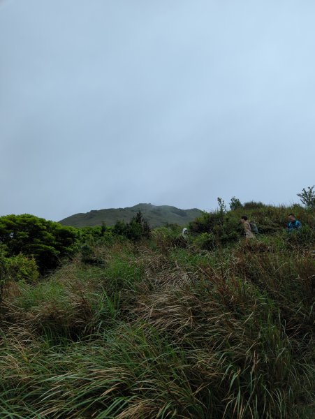 2023.04.22－七星山步道2123976