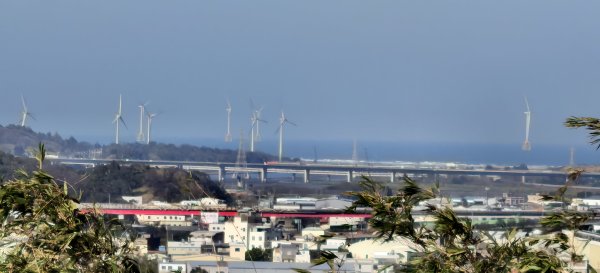 2025/01/04_鹿廚坑健行步道2683495