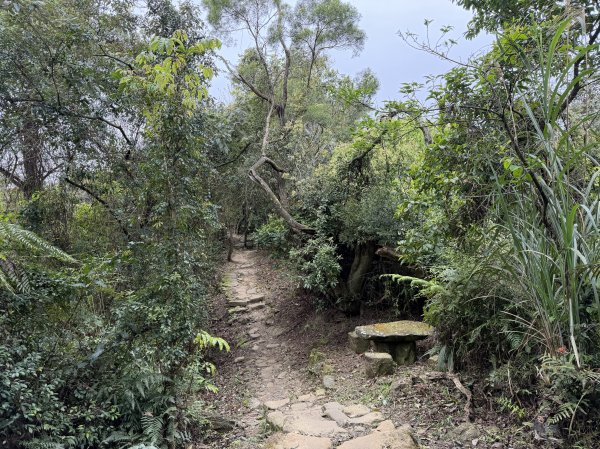 [微笑山線_第四段] 2026_0321 天上山系_三粒半3021067