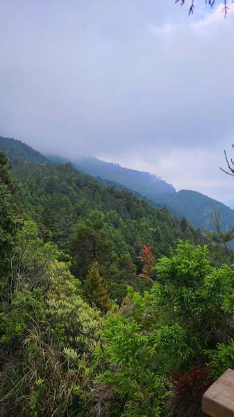 苗栗泰安-榛山2651355