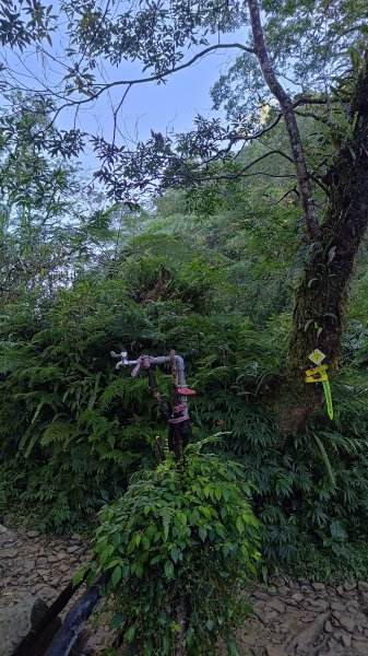 棲松縱走未竟2918307