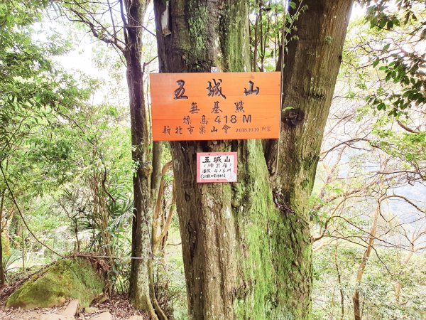 土城太極嶺，五城山，將軍嶺，文筆山，鶯歌石，牛灶坑山，龜公山，孫龍步道1654107