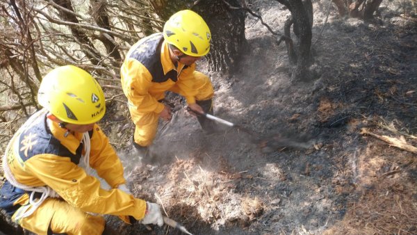 【新聞】玉里林班地林火控制 林管處森林護管員持續殘火處理