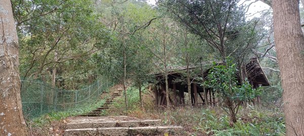 大分林山步道-2022/01/081577927