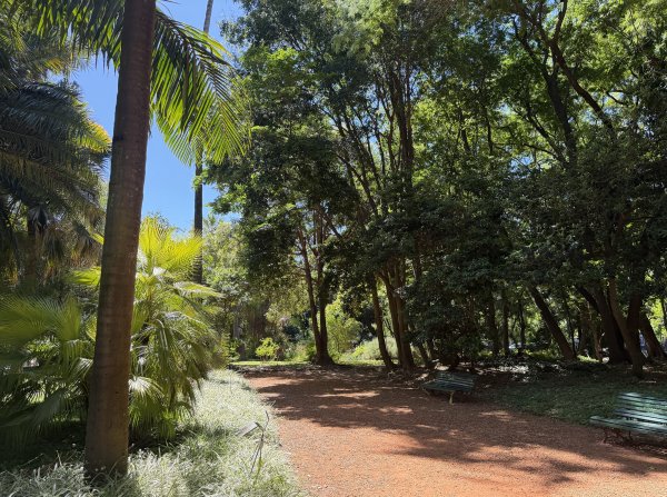 [紐約馬之行-60] 2025_1114 卡洛斯·泰斯植物園-下2954207