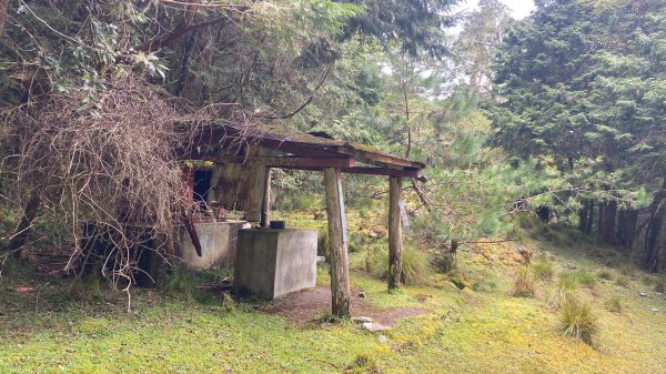 南三段-------丹大無雙豔陽天2916518