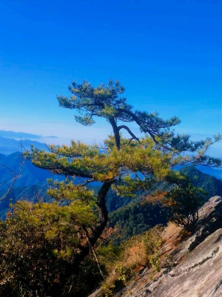 🌈1/10（六）鳶嘴捎來縱走✨FB：熊熊趴爬走🌈2980484