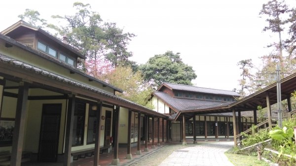 全台最美的森林小學~南投內湖國小468208