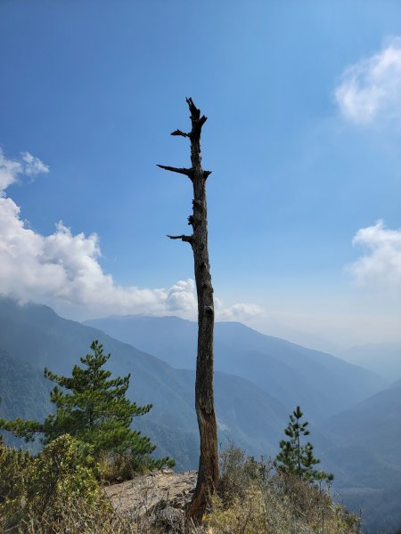 20260315-玉山前峰3018718