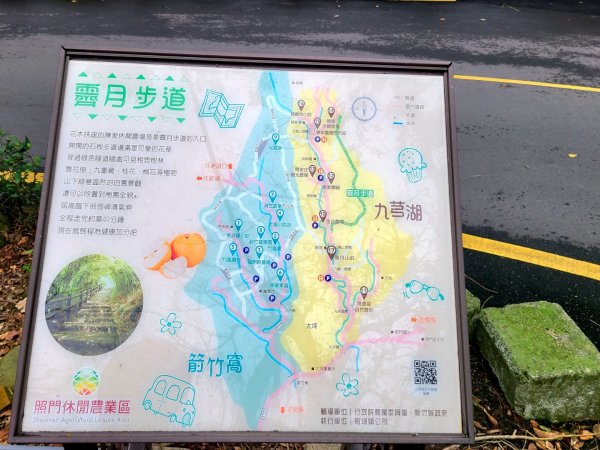 九芎湖步道群(九福、觀南、霽月步道)2102303