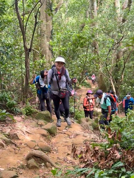 大艽芎古道縱走 新/溪州山(小百岳#23) 出溪州公園2893901