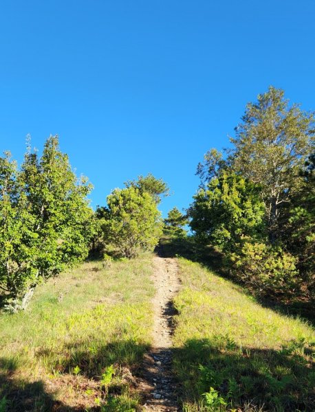 【中級山】馬武霸山，實至名歸的百岳觀景台2937725