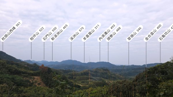 桃園復興枕頭山及薑母島偶遇穿山甲的悠閒O型走2984225