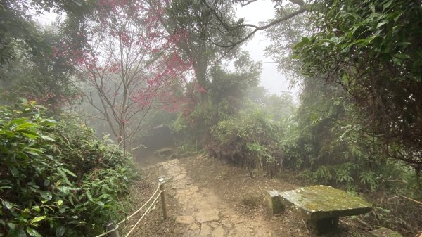 土城最高峰在天上山| Mt. Tianshang |天火縱走|峯花雪月2421183