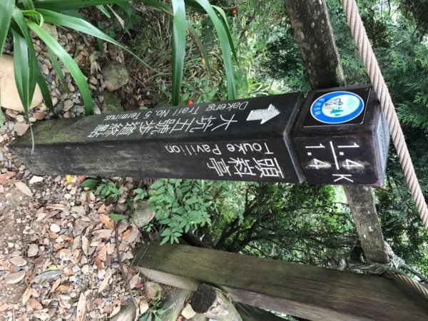 大坑4號頭嵙山1742987