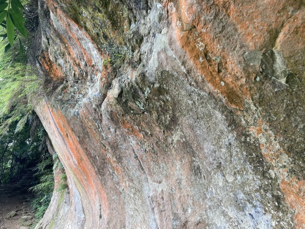 鳶山（福德坑山）、彩壁、鳶尾山封面