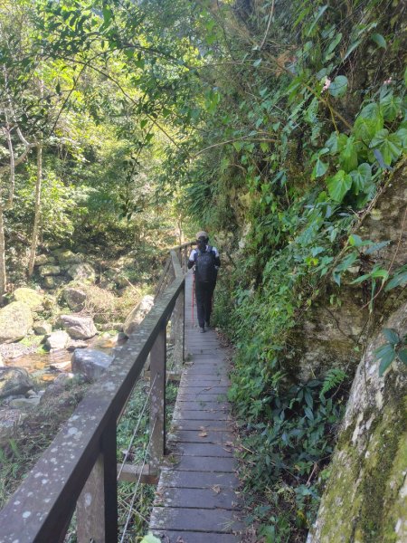 唐麻丹山 蝴蝶谷2918979