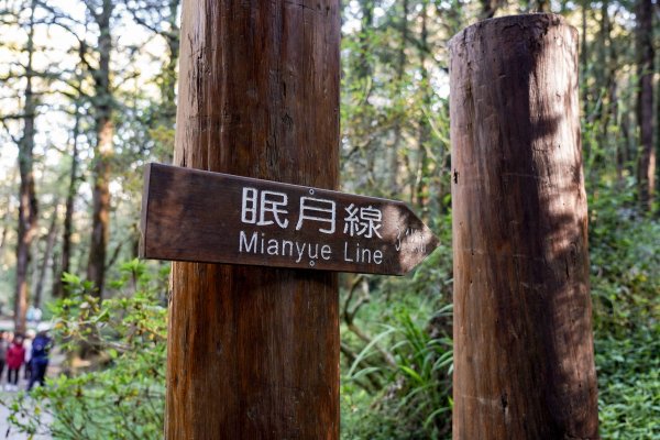 眠月線｜唯美森林鐵道3037104