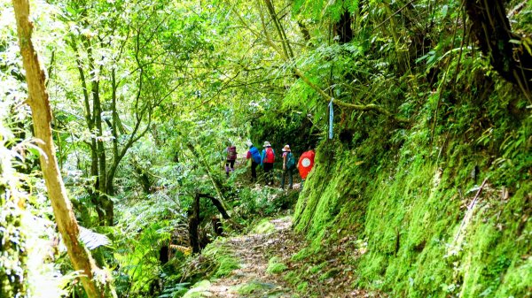 畝畝山。又上說2768142