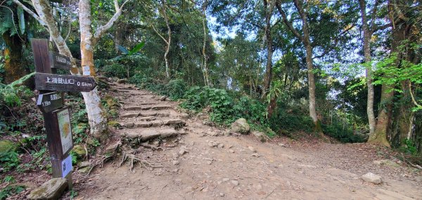 2023-03-12馬那邦山登山步道2065839