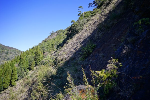 【沒有】【倚天劍】2985254