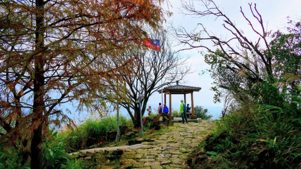 你若來汐止2961414