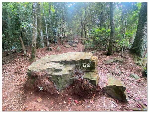 醜崠山、肥崠山(長壽山)、大崠山 三崠連走3100777