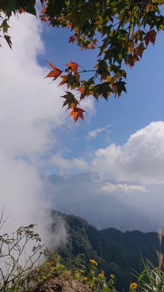 馬那邦山O走2370120