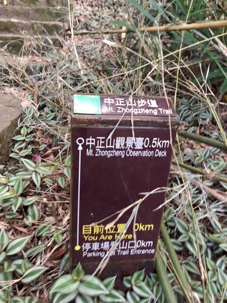 ~ 中 正 山 步 道 ~2782703