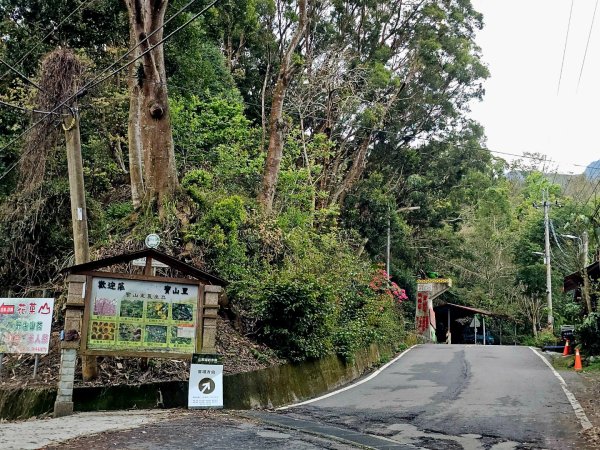 藤枝山-小百岳#68-高雄市桃源區2750313