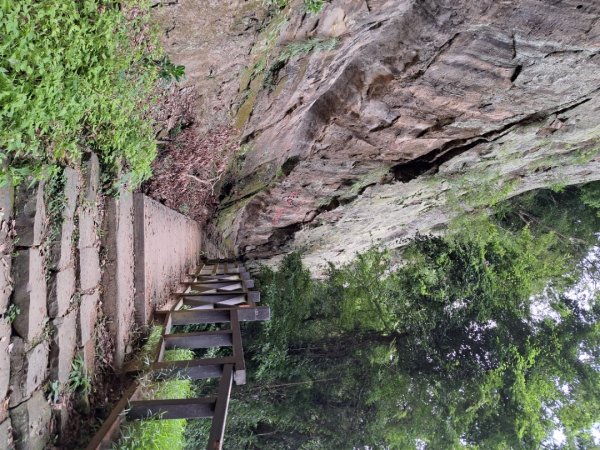 2026樟之細路：渡南，飛鳳,騎龍，茶亭，石山艮，獅山古道3115566