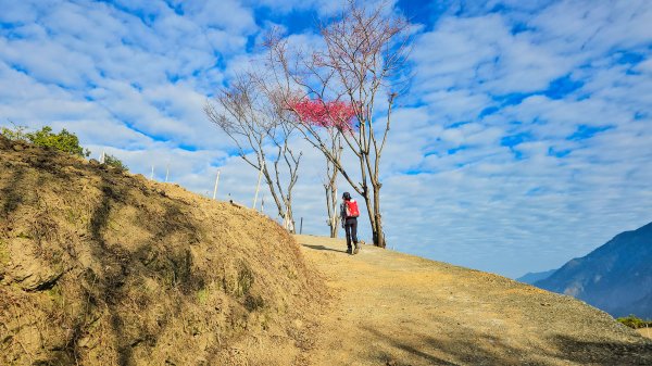 20260127獵人古道3031773