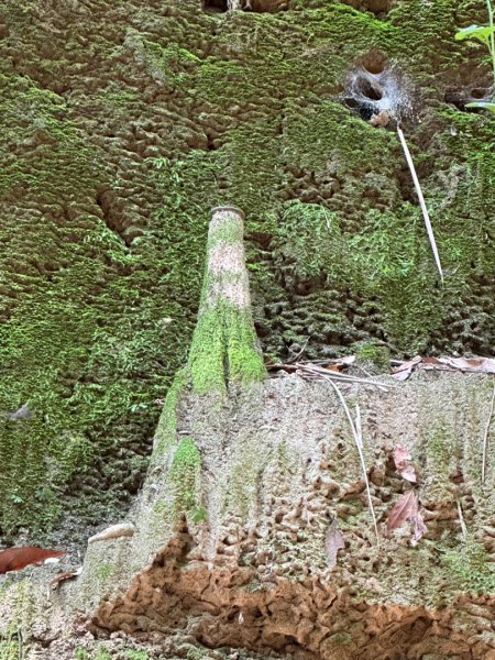 彰化一線天2657573